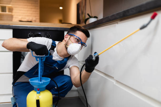 Best Insect Control  in Bethel Manor, VA