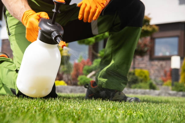 Best Wildlife Control Services  in Bethel Manor, VA
