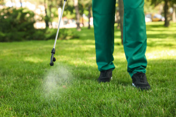 Best Local Pest Control Services  in Bethel Manor, VA
