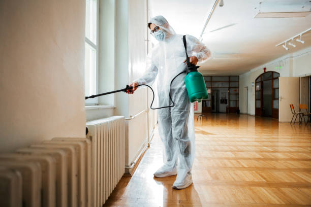 Best Affordable Pest Control Services  in Bethel Manor, VA